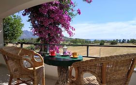 Vacanza In Ogliastra